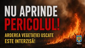 Trei zile de „FOC”, cu 27 de incendii